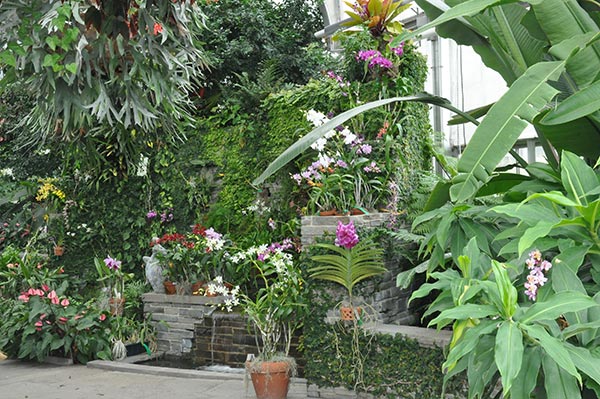Ginter-orchid-house.jpg