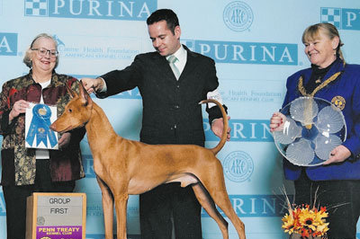 Local dog handler extols the virtues of dog shows