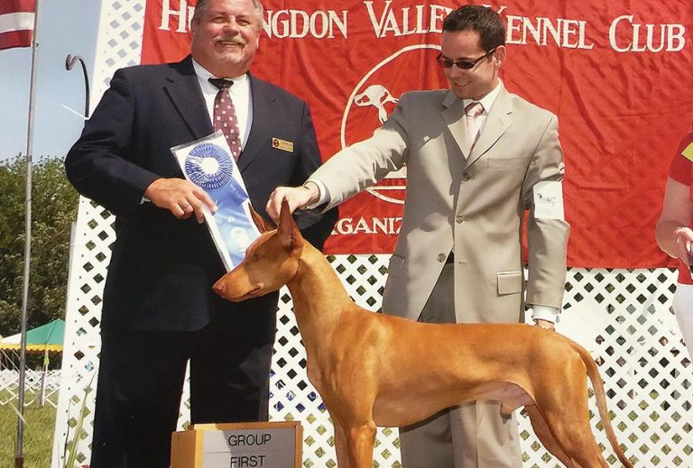 Out dog handler showing three breeds at National Dog Show