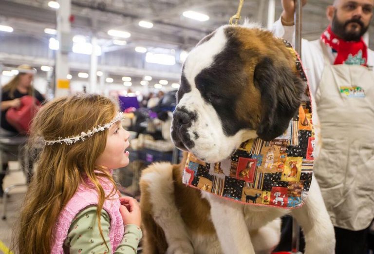 Dog show returns with tradition, new breeds