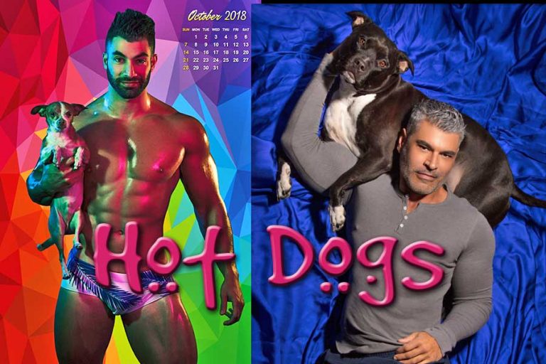 Hot Dogs: Celebrity photographer turns the camera on rescue animals