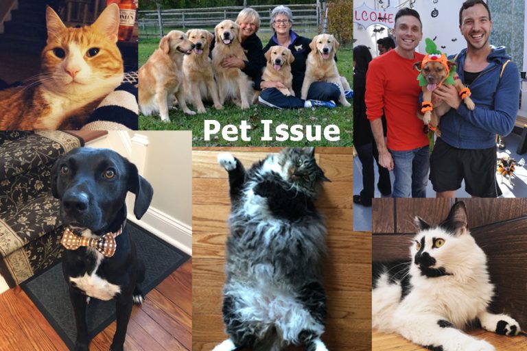 Pet Issue 2017