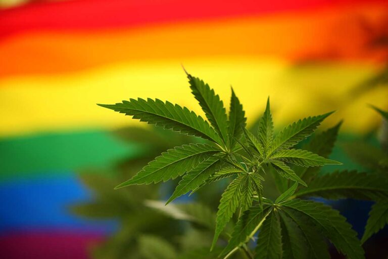LGBTQ employees at local cannabis dispensary unionize, allege workplace violations