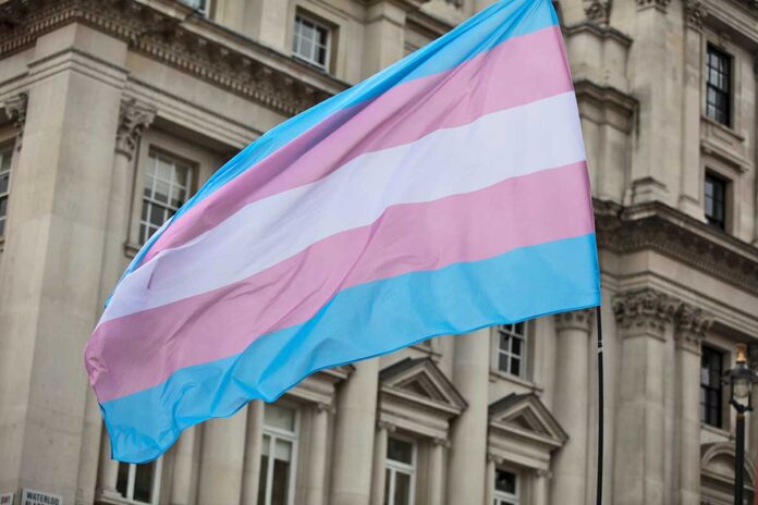 The trans pride flag