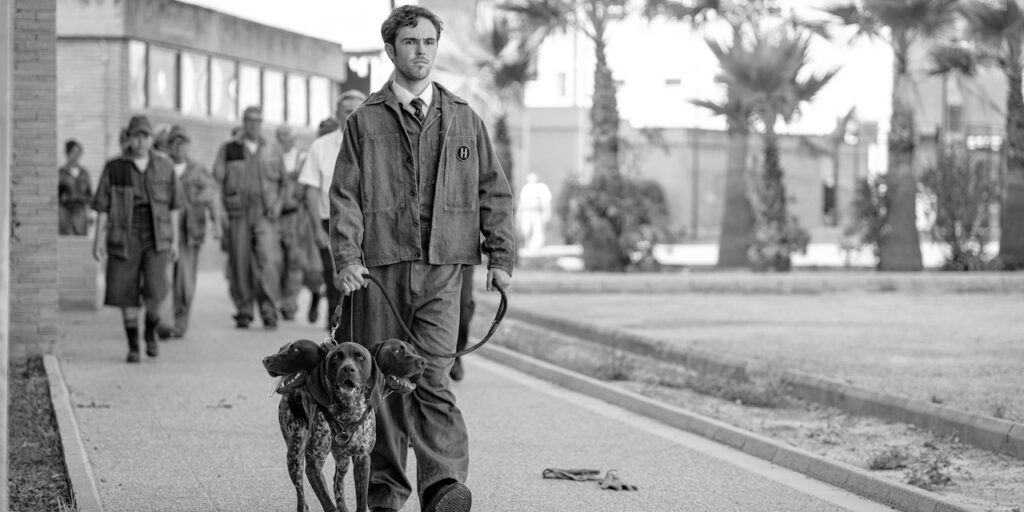 In this black-and-white image, a young man with a determined expression walks down a pathway, leading two alert hounds on leashes. He is dressed in a uniform-like outfit, consisting of a buttoned-up jacket with an emblem on the chest, and matching trousers. Behind him, a group of people dressed in similar work attire follows at a distance, creating an atmosphere that feels both regimented and somber. The scene is set outdoors, with palm trees and institutional buildings visible in the background, adding to the stark, dystopian mood of the new Netflix series Kaos.