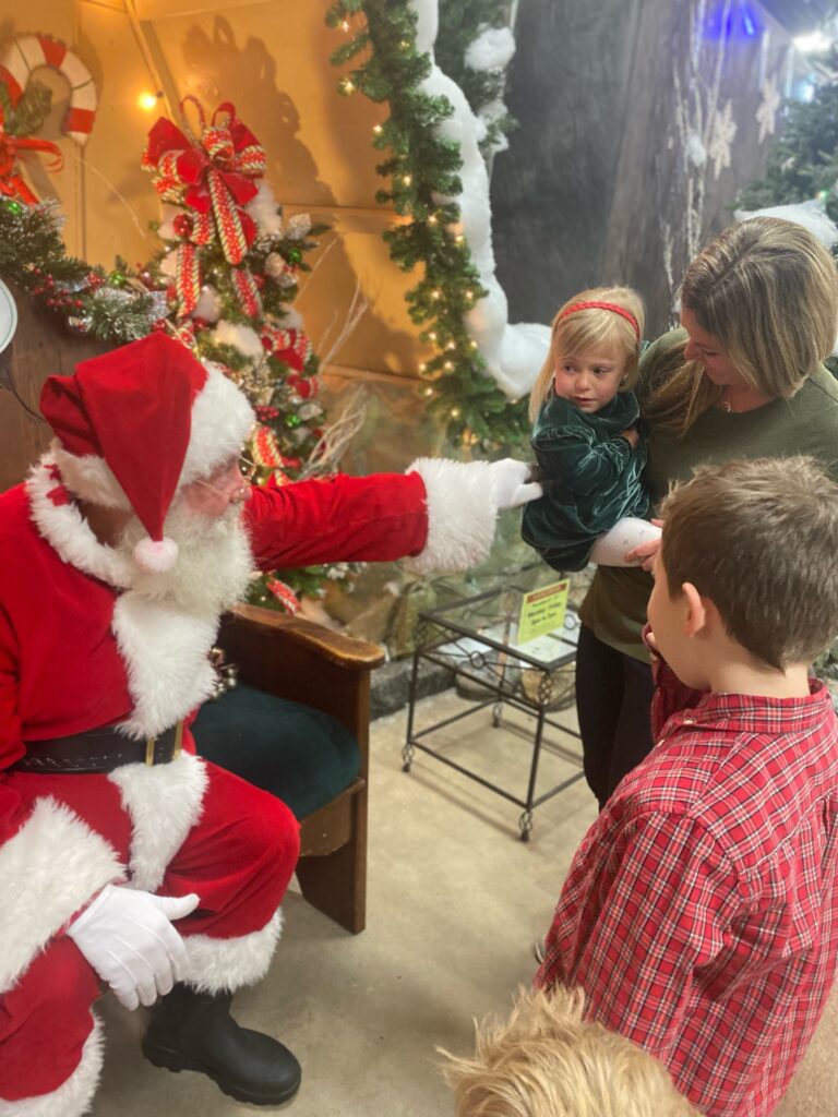 Santa Claus seated, pointing towards a young girl dressed in green velvet with a red headband, held by a woman. A boy in a red plaid shirt looks on while surrounded by festive Christmas decorations, including garlands, lights, and a decorated tree.