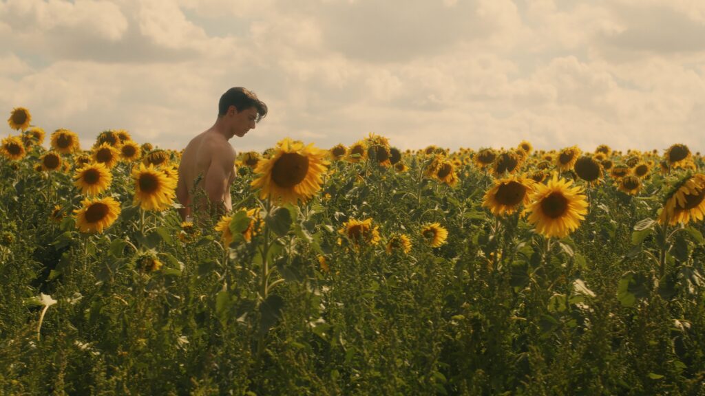 Liam Mollica stands shirtless in a field of sunflowers in ‘Sunflower.’