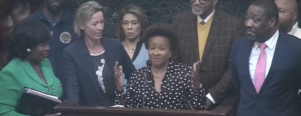 Wanda Sykes speaks during a press conference at City Hall in Philadelphia. (Photo: Facebook)